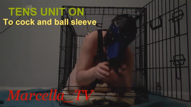 Marcella TV as a caged puppy